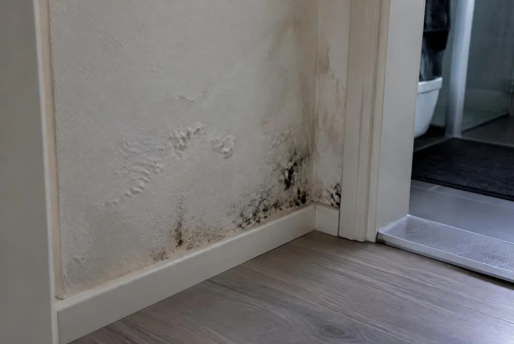 Lekdetectie Vlaardingen – vochtplek met schimmel op een muur